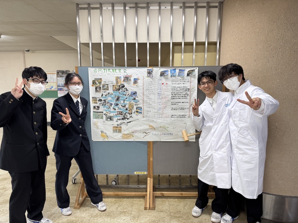 Image - 2026-04-08T195641.845